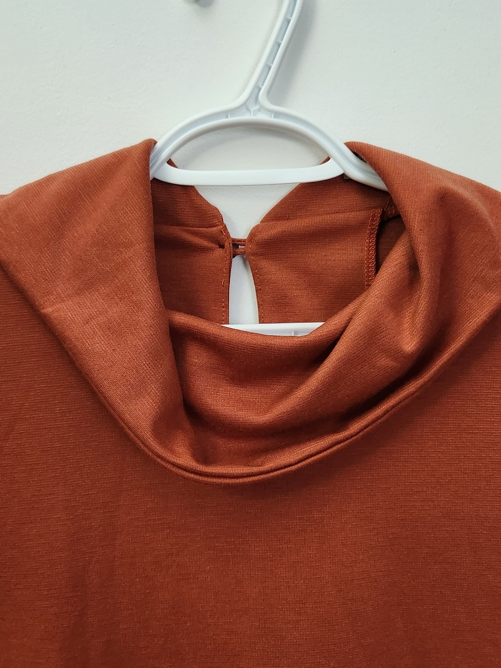 Maxine Rust Orange Long Sleeve Cowl Neck Dress - Picture 2 of 4